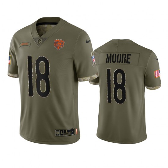 Chicago Bears David Moore 18 Nike 2022 Salute to Service NFL Jersey