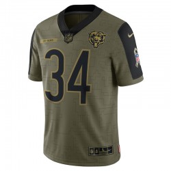 Chicago Bears Walter Payton 34 Nike 2021 Salute to Service NFL Jersey